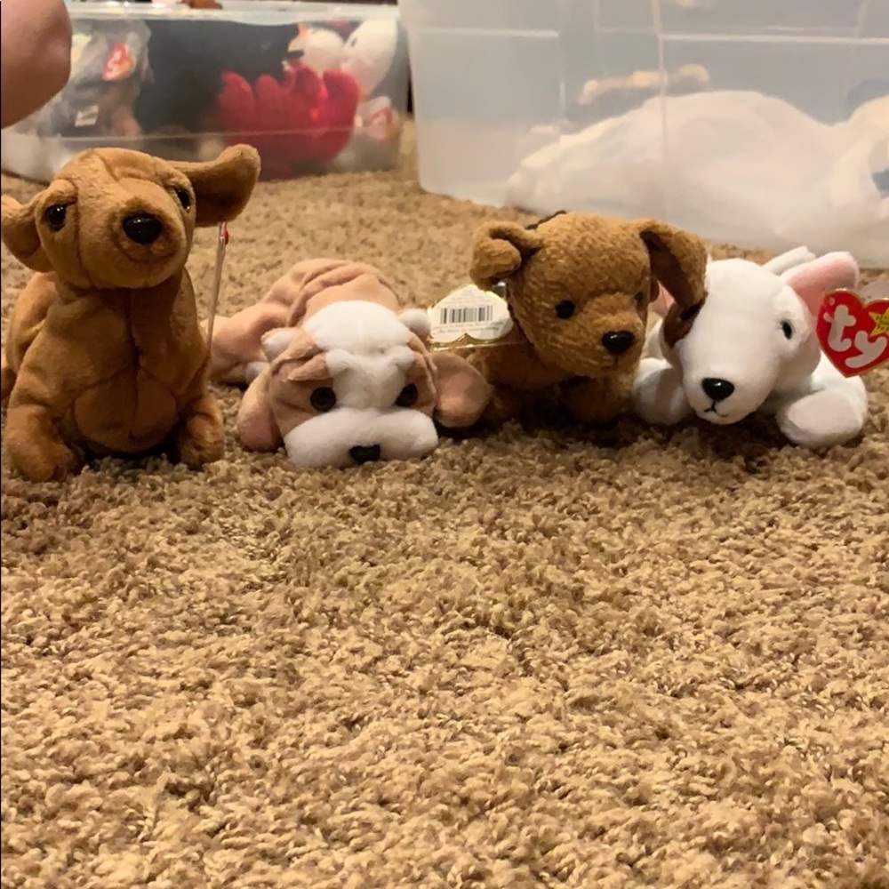 Beanie Baby Bundle
